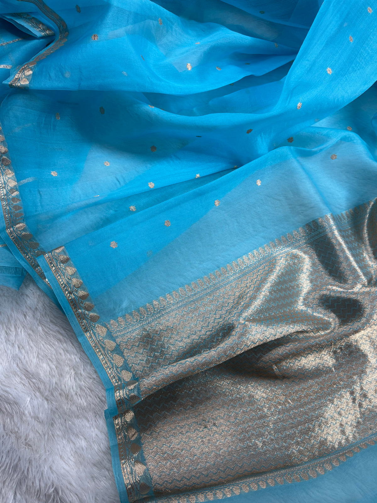 Sky Blue Pure Kora Organza Banarasi Saree