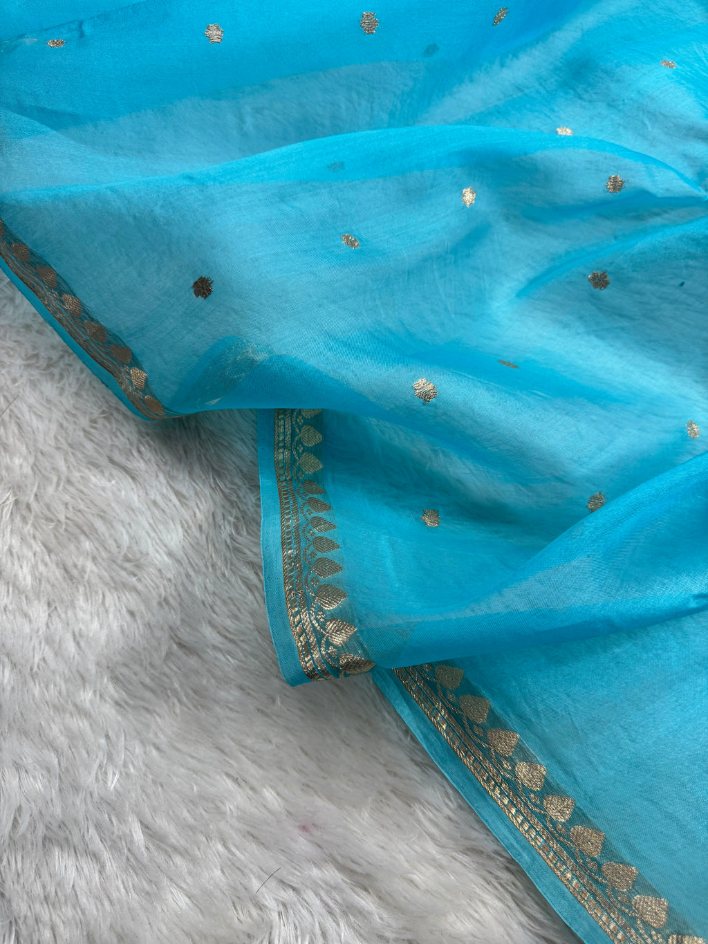Sky Blue Pure Kora Organza Banarasi Saree