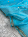 Sky Blue Pure Kora Organza Banarasi Saree