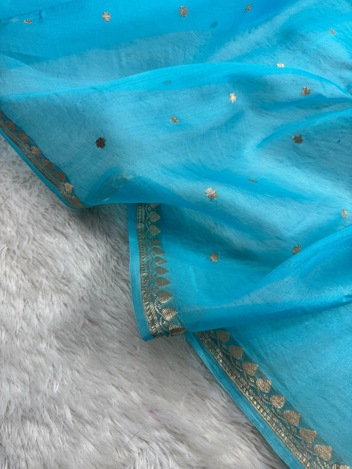 Sky Blue Pure Kora Organza Banarasi Saree
