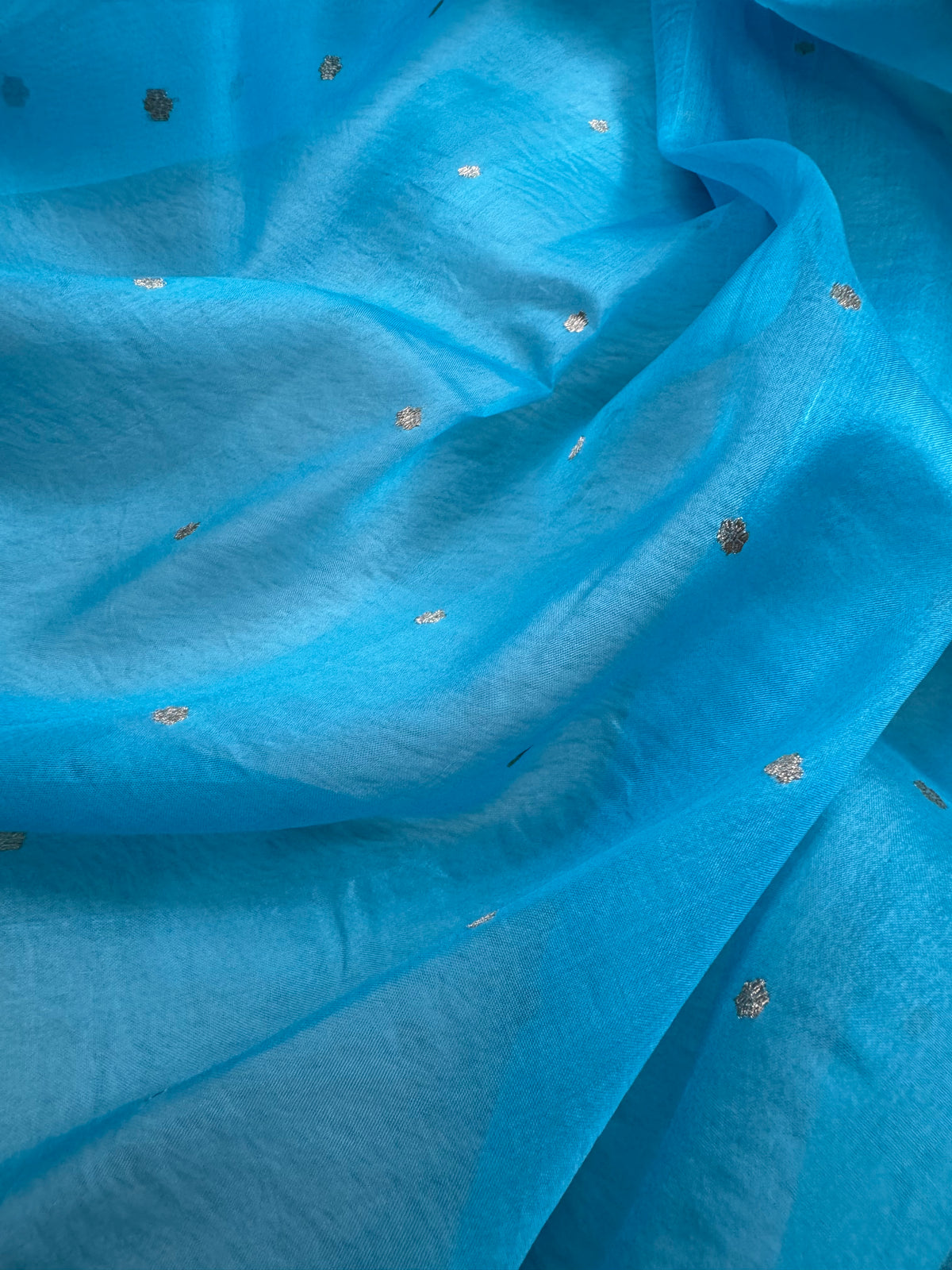 Sky Blue Pure Kora Organza Banarasi Saree