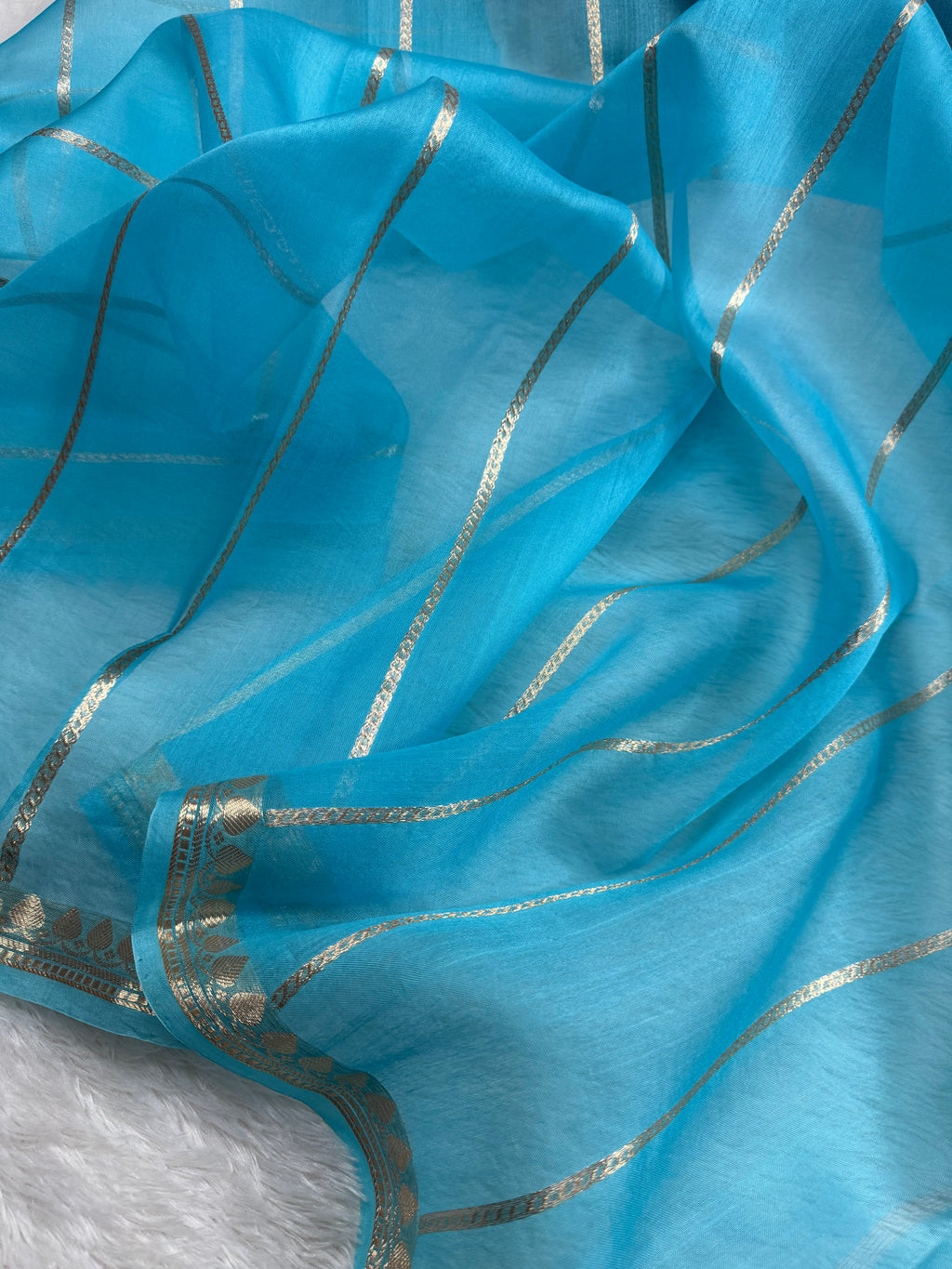 Sky Blue Pure Kora Organza Banarasi Saree