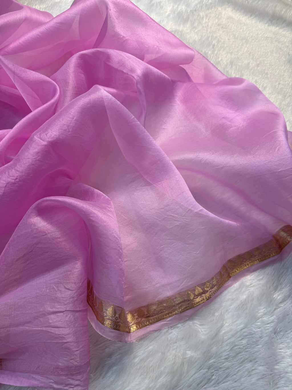 Pastels Shades Pure Kora Organza Silk Banarasi Saree